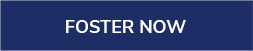 FOSTER NOW